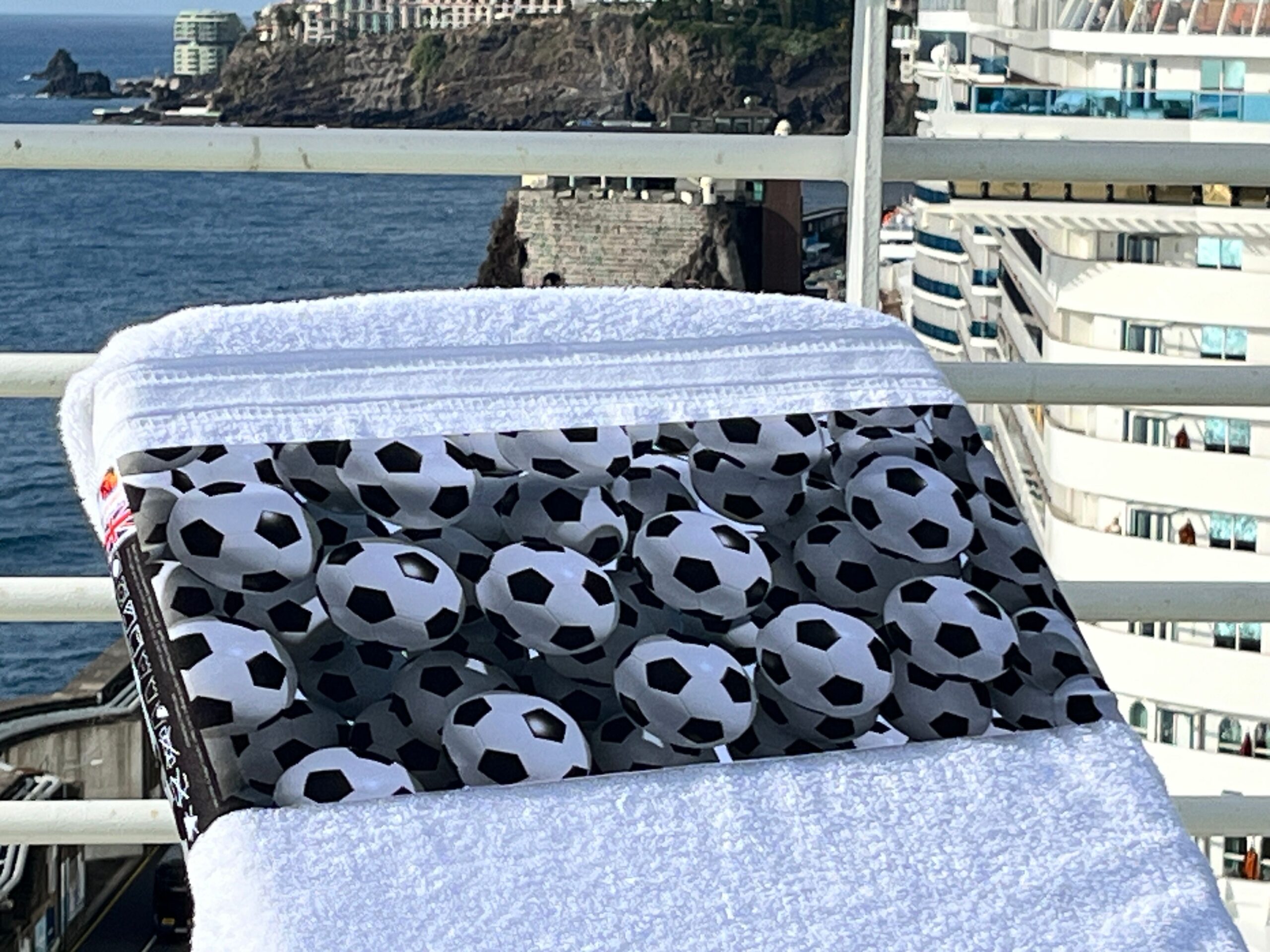 Fish Bowl design on a reusable tcboo sun lounger band