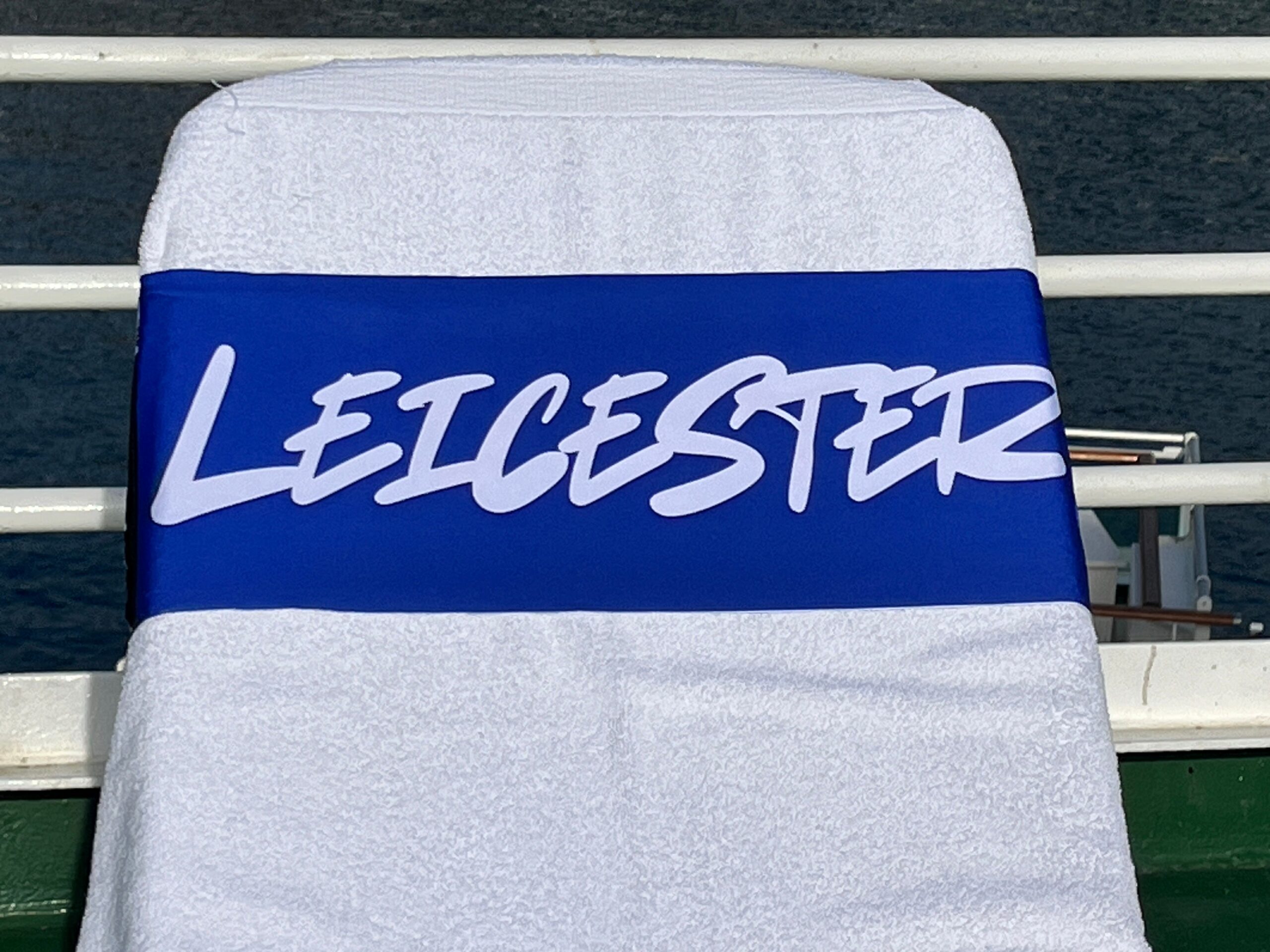 What Dreams are made of design on a reusable tcboo sun lounger band