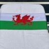 Northern Ireland flag design on a reusable tcboo sun lounger band