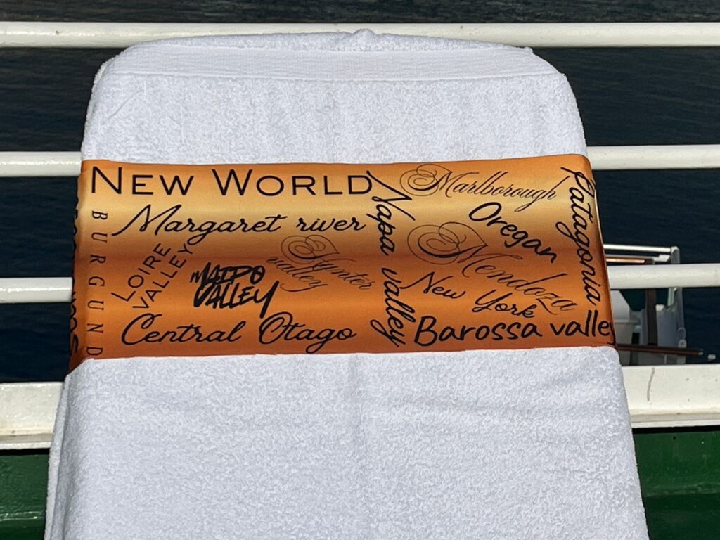 Dinosaur design on a reusable tcboo sun lounger band