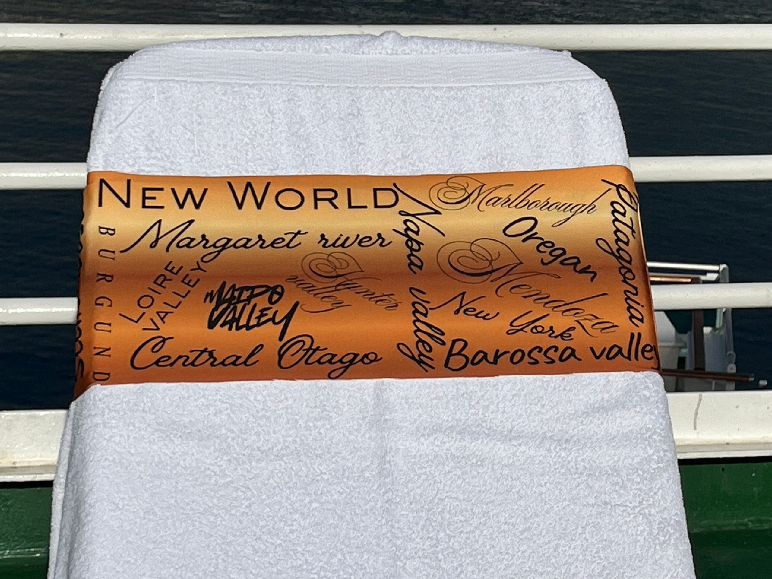 Dinosaur design on a reusable tcboo sun lounger band