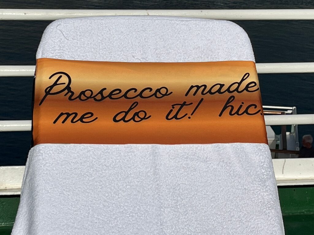 Passenger with a view design on a reusable tcboo sun lounger band