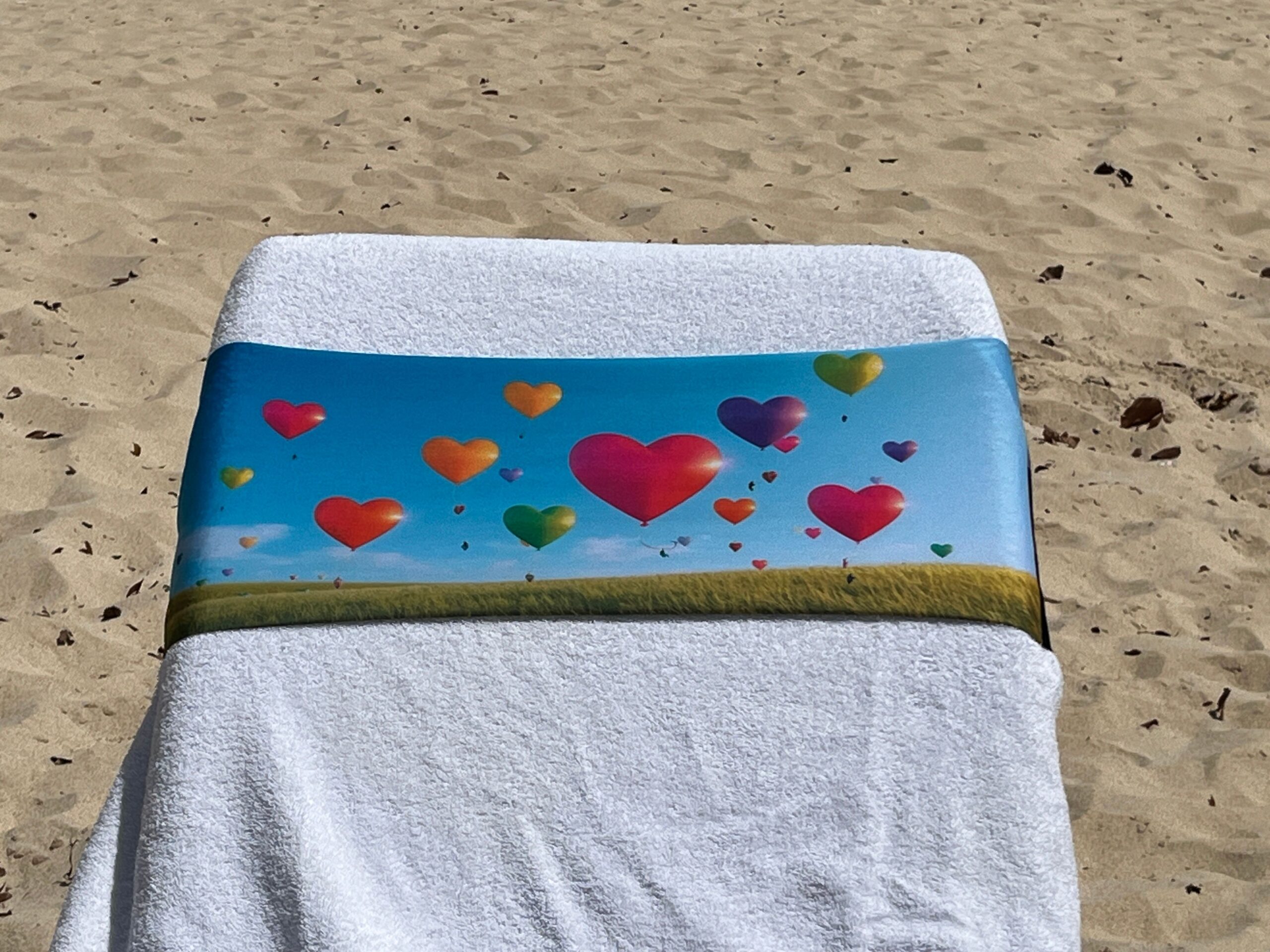 Come Fly with Me design on a reusable tcboo sun lounger band